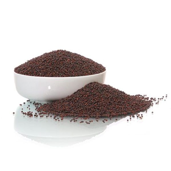 Barik Rai – 100G
